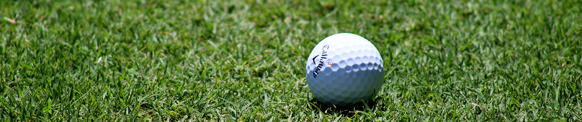 golf-banner